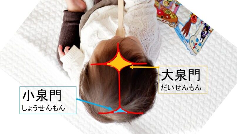 赤ちゃんの頭のへこみはいつ閉じる 大泉門の役割や 対処法をお伝えします めくるとらべる
